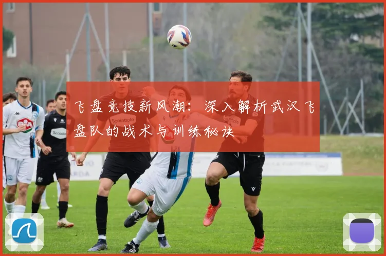 飞盘竞技新风潮：深入解析武汉飞盘队的战术与训练秘诀