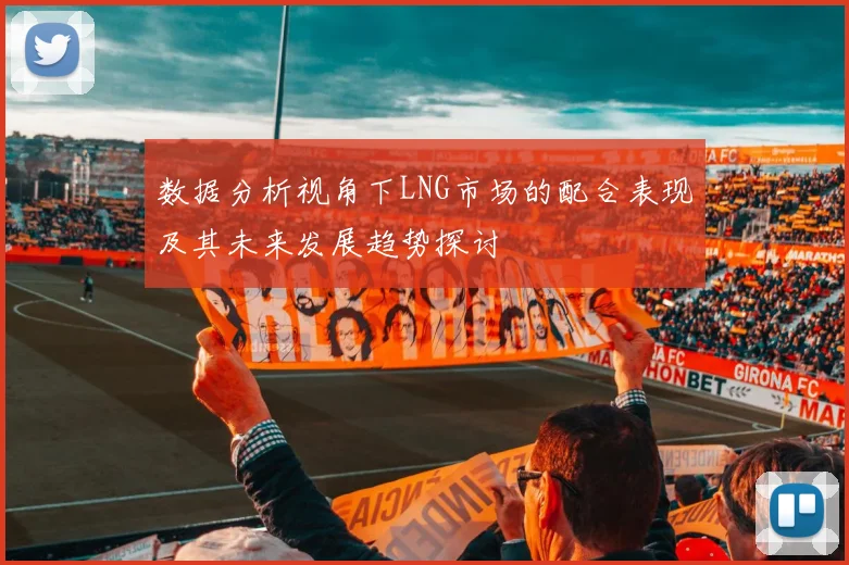 数据分析视角下LNG市场的配合表现及其未来发展趋势探讨