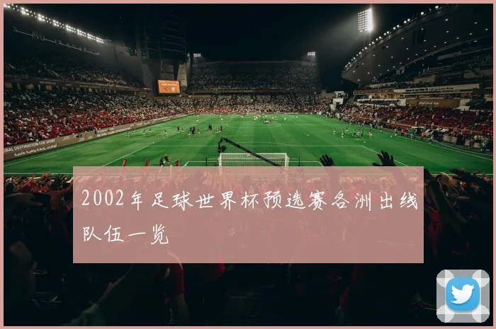 2002年足球世界杯预选赛各洲出线队伍一览